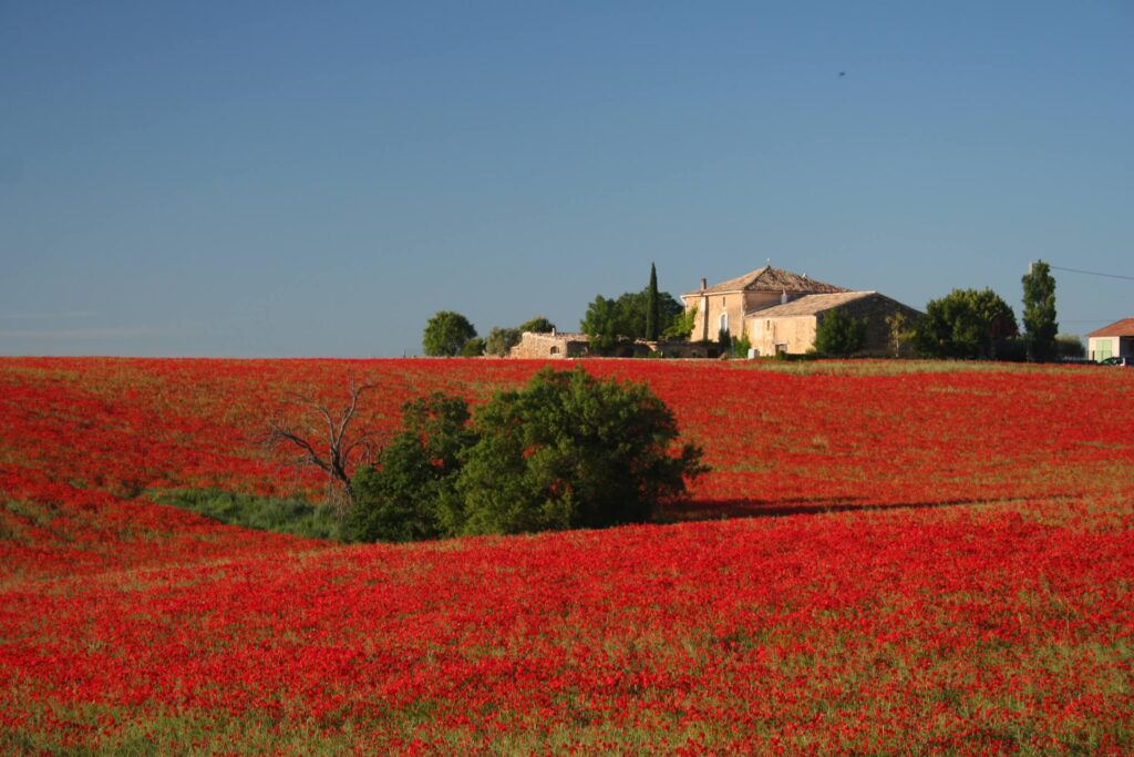 Le Clos de la Tuilerie Le Clos de la Tuilerie
