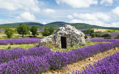 Découvrez les Paysages des Alpes de Haute-Provence